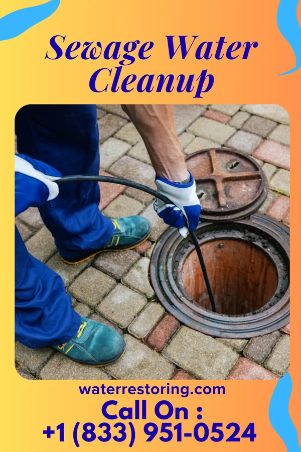 Sewage Water Cleanup in Beaver Marsh, OR