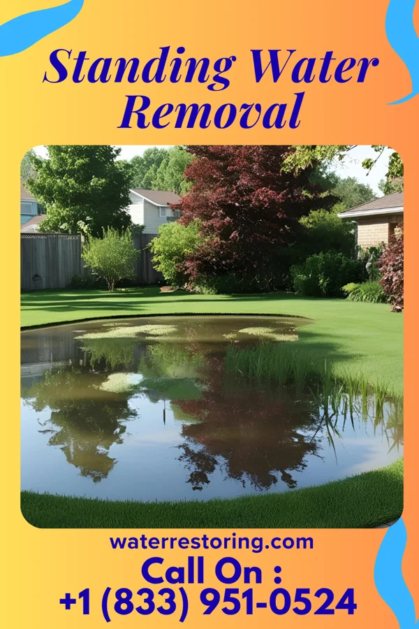 Standing Water Removal in Beaver Marsh, OR